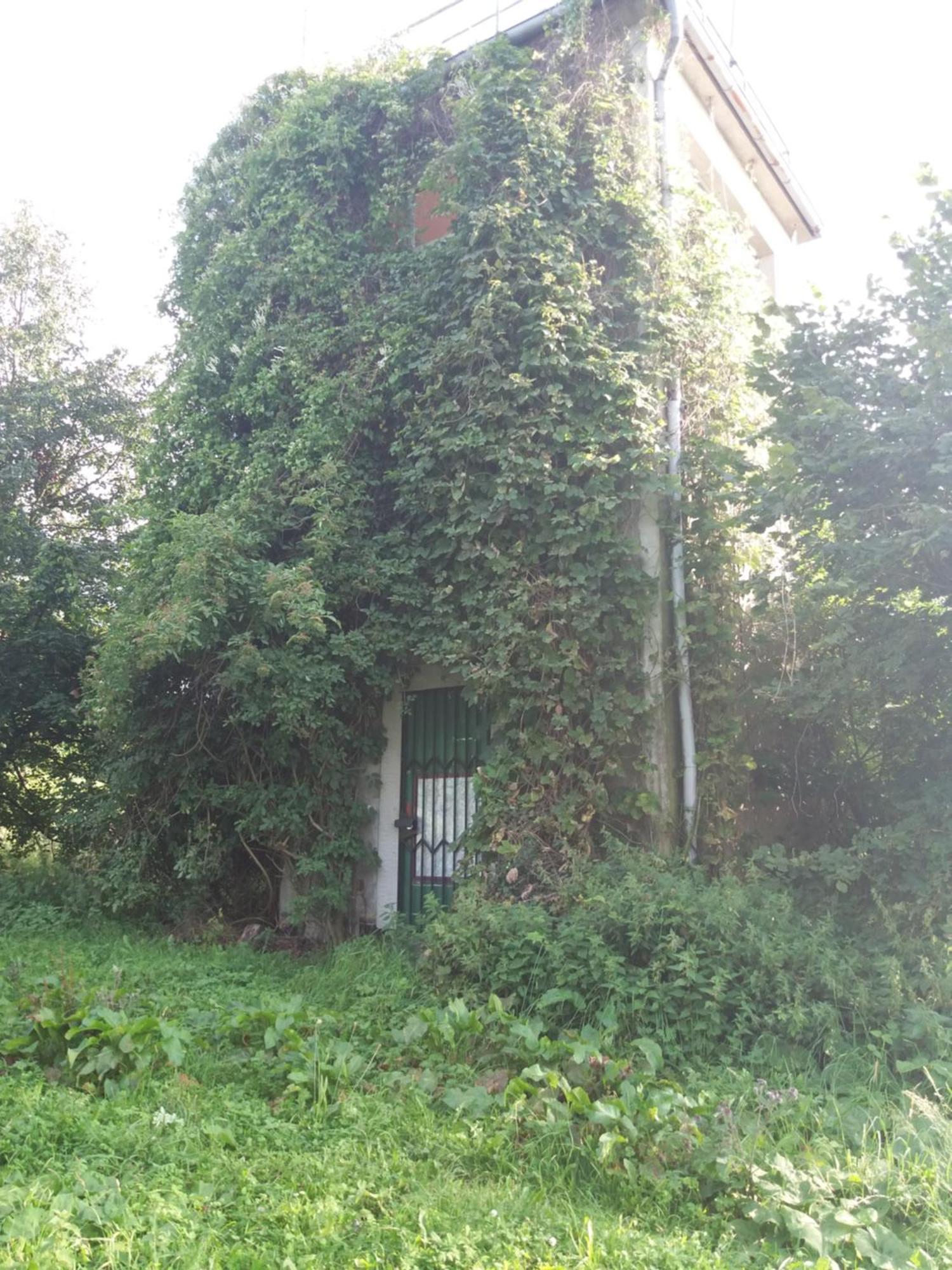 Ferienwohnung Am Hochrhoener Andenhausen Exteriér fotografie